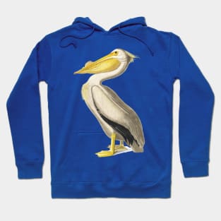 American White Pelican Hoodie